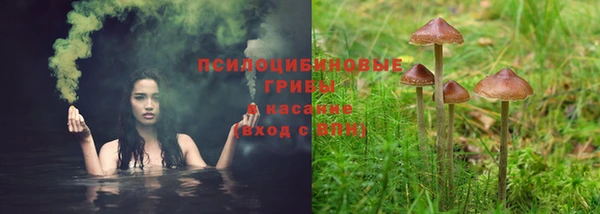стафф Армянск