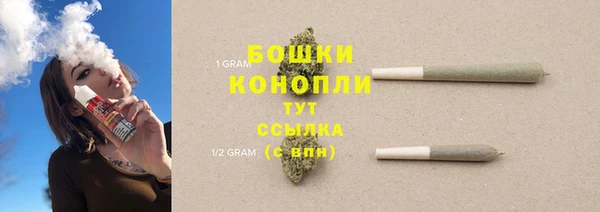 PSILOCYBIN Аркадак