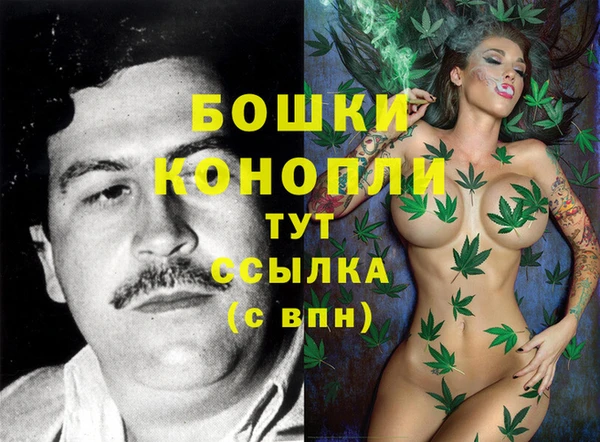 PSILOCYBIN Аркадак