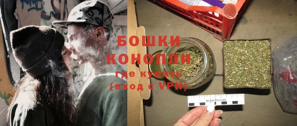 PSILOCYBIN Аркадак