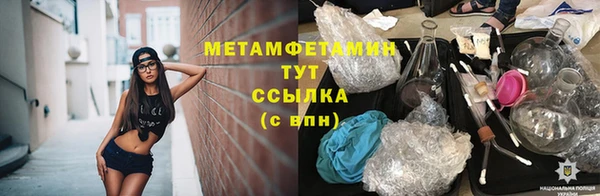 PSILOCYBIN Аркадак